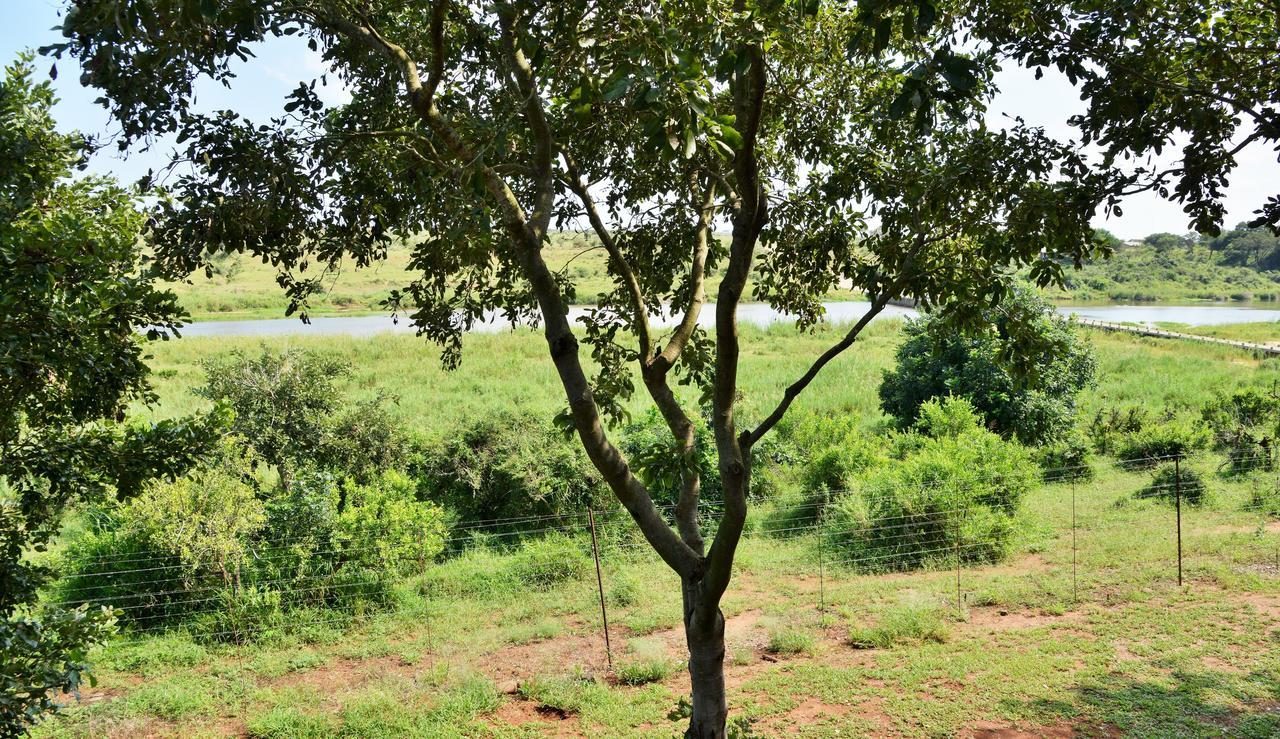 Elephant Walk Retreat Komatipoort Luaran gambar